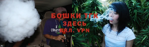 экстази Арсеньев