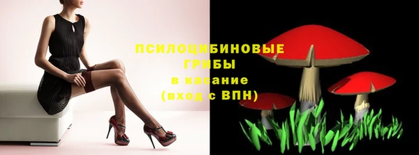 твердый Армянск