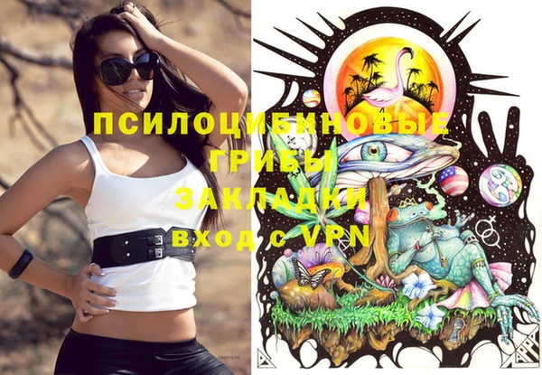 спайс Аркадак