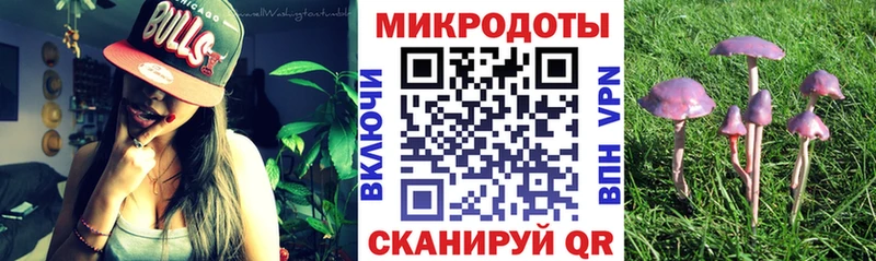 купить Мезень Галлюциногенные грибы Magic Shrooms
